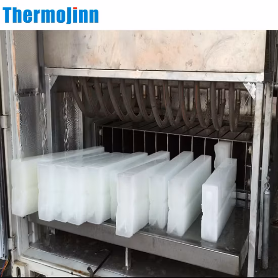 Machine à glace de bloc de refroidissement de saumure 1000kg utilisée dans la transformation des aliments