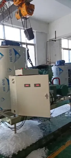 Machine de fabrication de glace en flocons d'eau de mer de meilleure qualité Lier pour la transformation des fruits de mer (5 T/JOUR)