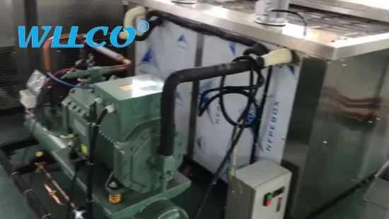 Machine à glace de bloc de réservoir de saumure d'acier inoxydable de récipient de chambre froide de 4 tonnes/jour 25 kilogrammes