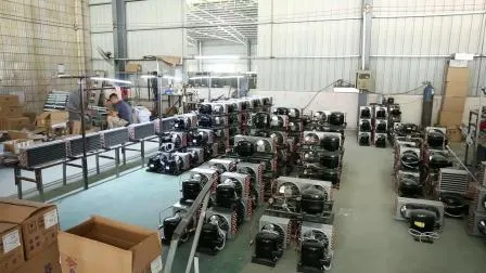 Bac de stockage de marchandiseur de glace ensaché de mur froid d'intérieur extérieur